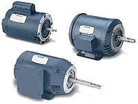 Motores Leeson para Bombas