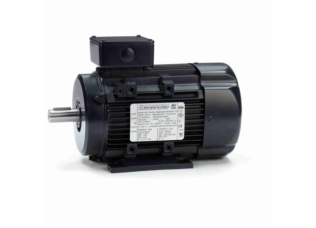 Motor Marathon Globetrotter® IEC de aluminio, 2 HP, 3 Ph, 60 Hz, 230/460 V, 1800 RPM, marco 90L, TEFC Parte: 090LT17FH6326