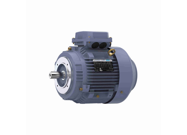 Motor Marathon de hierro fundido, 5,50 HP, 3 Ph, 60 Hz, 230/460 V, 3600 RPM, marco 112M, TEFC Parte: TCA0041AE271GAA009