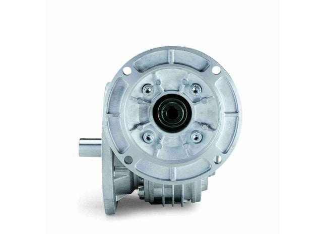 Grove Gear Bravo Series - Reductor de velocidad de gusano de reducción única WF34009101.00