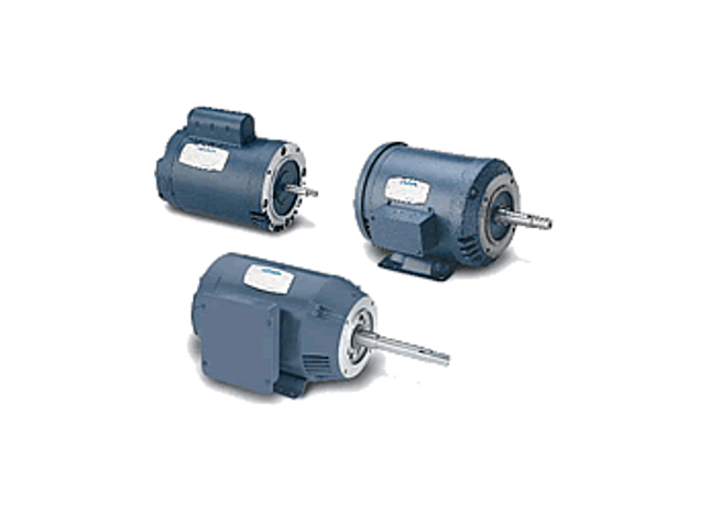 Pump Motors