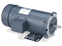 Motores Leeson de Corriente Directa