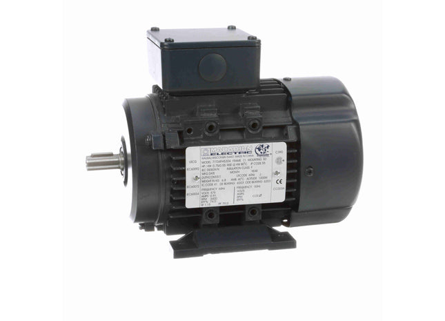 Motor Marathon Globetrotter® IEC de aluminio, 0,75 HP, 3 Ph, 60 Hz, 575 V, 3600 RPM, 71 Frame, TEFC Parte: 071T34FH5304