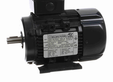 Motor Marathon Globetrotter® IEC de aluminio, 0,75 HP, 3 Ph, 60 Hz, 230/460 V, 1800 RPM, 80 Frame, TEFC Parte: 080T17FH5326