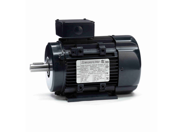 Motor Marathon Globetrotter® IEC de aluminio, 3 HP, 3 Ph, 60 Hz, 230/460 V, 3600 RPM, marco 90L, TEFC Parte: 090LT34FH6301