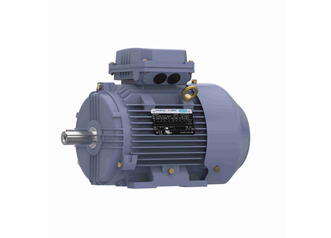 Motor Marathon de hierro fundido, 3 HP, 3 Ph, 60 Hz, 575 V, 1800 RPM, marco 100L, TEFC Parte: TCA2P22AP211GAA009