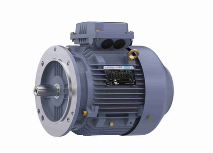 Motor Marathon de hierro fundido, 3 HP, 3 Ph, 60 Hz, 230/460 V, 1200 RPM, Marco 112M, TEFC Parte: TCA2P23AE221GAA009
