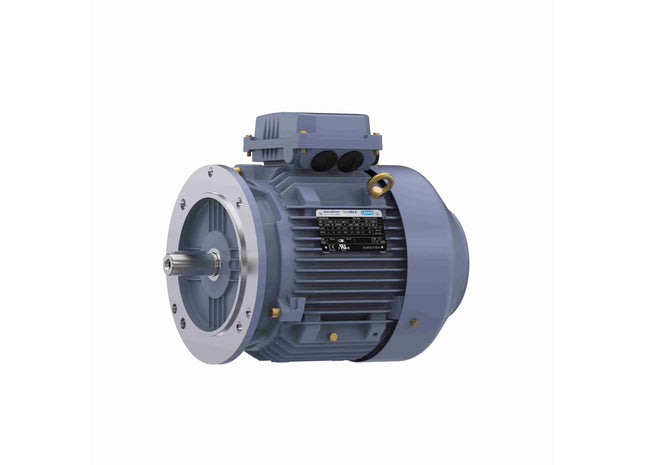 Motor Marathon de hierro fundido, 5,50 HP, 3 Ph, 60 Hz, 230/460 V, 1800 RPM, marco 112M, TEFC Parte: TCA0042AE221GAA009