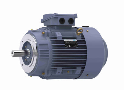 Motor Marathon de hierro fundido, 10 HP, 3 Ph, 60 Hz, 230/460 V, 1200 RPM, marco 160M, TEFC Parte: TCA7P53AE271GAA009
