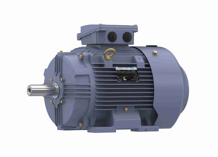 Motor Marathon de hierro fundido, 50 HP, 3 Ph, 60 Hz, 575 V, 1200 RPM, marco 250M, TEFC Parte: TCA0373AP211GAA009