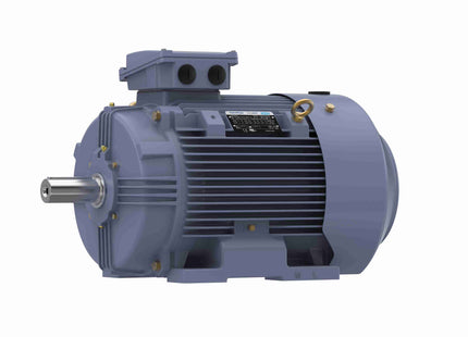 Motor Marathon de hierro fundido, 25 HP, 3 Ph, 60 Hz, 230/460 V, 1800 RPM, marco 180M, TEFC Parte: TCA18P2AE211GAA009