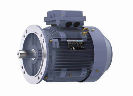 Motor Marathon de hierro fundido, 7,50 HP, 3 Ph, 60 Hz, 230/460 V, 1200 RPM, marco 132M, TEFC Parte: TCA5P53AE221GAA009