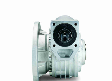 Grove Gear Bravo Series - Reductor de velocidad de gusano de reducción única WF180068.00