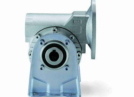 Grove Gear Bravo Series - Reductor de velocidad de gusano de reducción única WT25011704.18