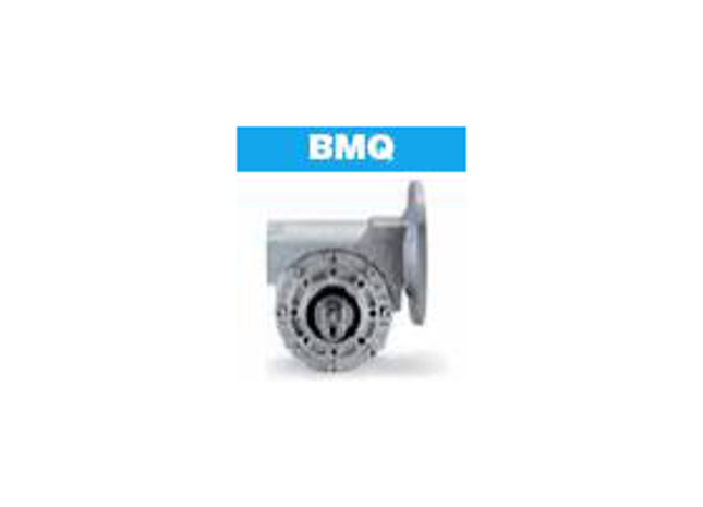 Reductores de engranajes de aluminio Bravo (BMQ)