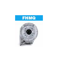 Bravo® Mounting Face (Short FHMQ)