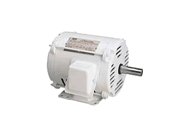 Motores Lincoln Wash-Thru para ambientes ásperos