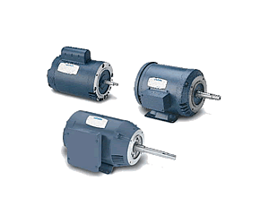 Pump Motors