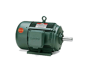 WattSaver Motors NEMA Premium Efficiency