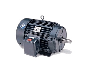 Motores Marathon Motores Blue Chip XRI Eficiencia NEMA Premium