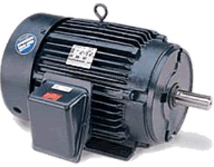 Motores Blue Chip XRI Eficiencia NEMA Premium